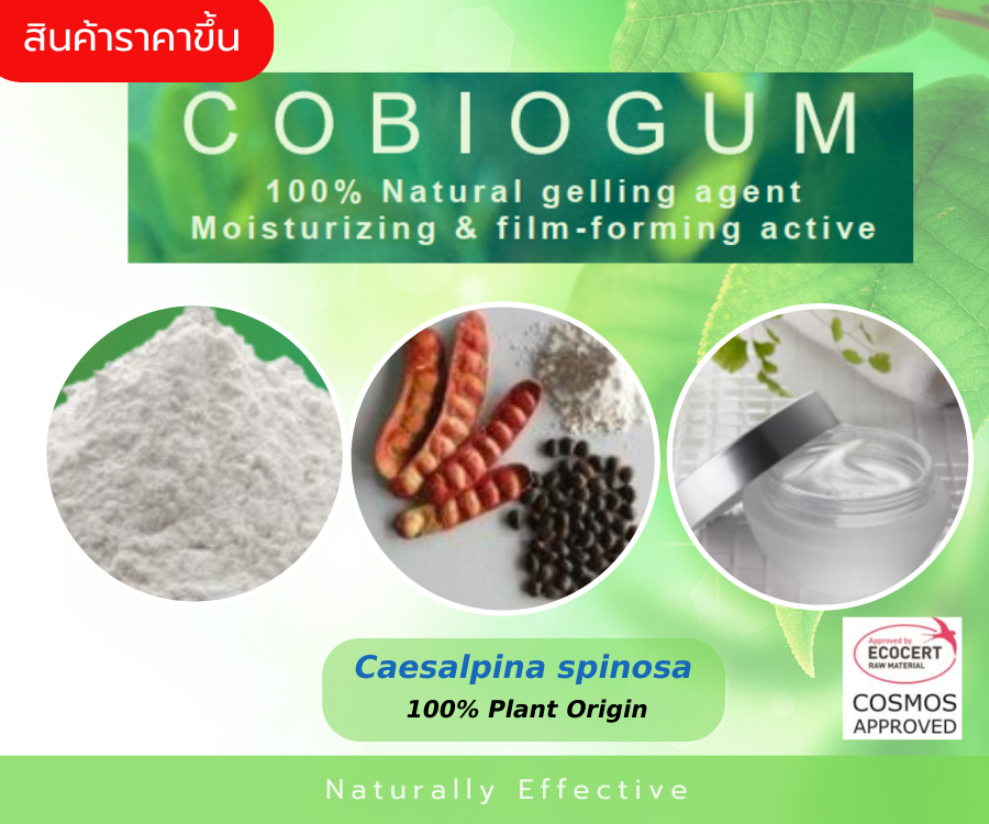 Cobiogum สารขึ้นเนื้อเจล สกัดจากเมล็ดฝักต้นทาร่า ทำสูตรง่าย ผิวนุ่มชุ่มชื้น ไม่เหนียวเหนอะหนะ